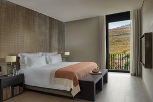 Vineyard Suite