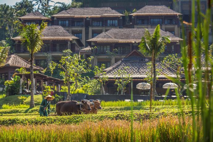 Mandapa, a Ritz-Carlton Reserve - Ambiance