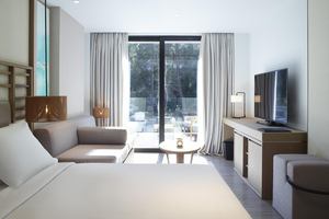 Hill View Grand King kamer