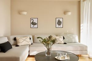 Premium Suite