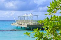 Kuramathi Maldives - Restaurants/Cafes