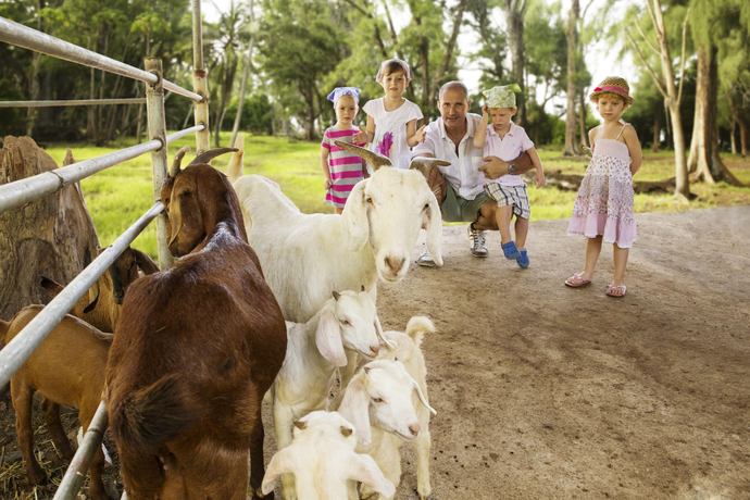 Denis Private Island - Kinderen