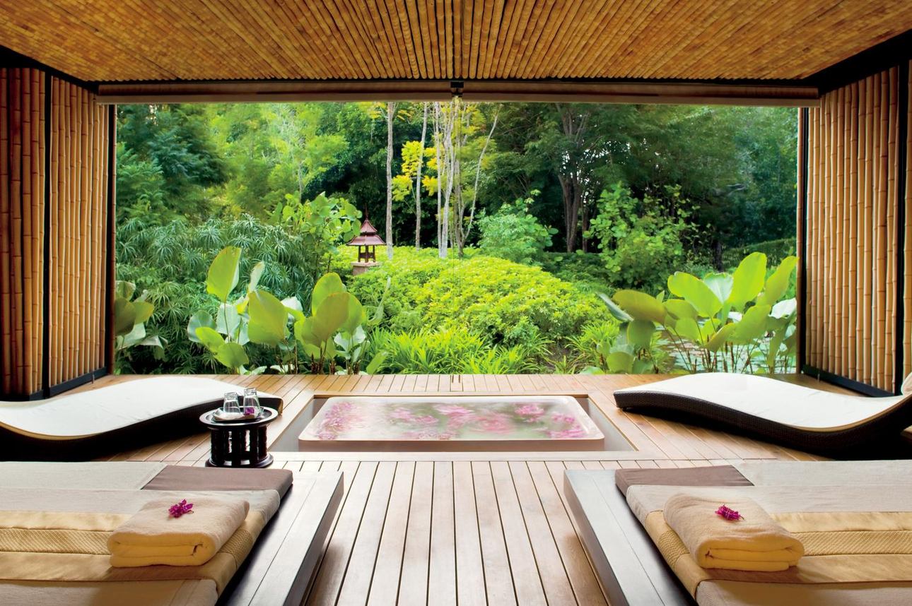 Wellness
