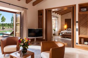 Deluxe Pool Suite