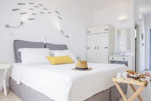 Superior Kamer Privézwembad