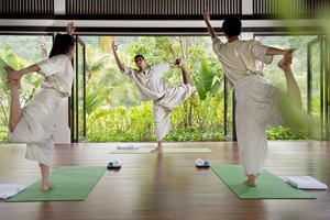 Banyan Tree Lang Co - Wellness
