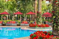 Sofitel Marrakech Lounge & Spa  - Zwembad