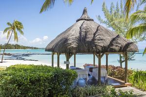 Ambre  - Wellness