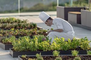 Royal Champagne Hotel & Spa - Exterieur
