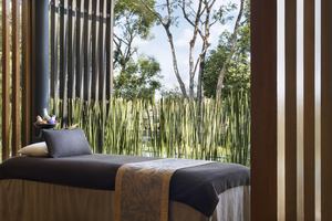 Anantara Chiang Mai Resort - Wellness