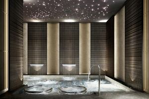 Four Seasons Bangkok - Wellness