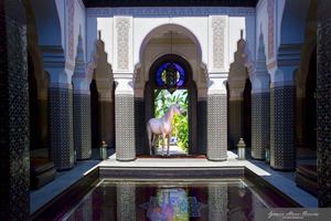 Selman Marrakech - Algemeen