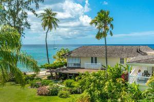 Coral Reef Club - Général