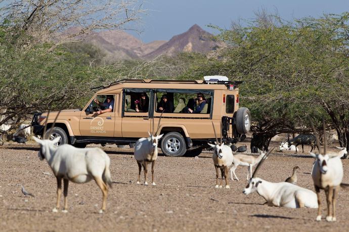 Anantara Desert Islands Resort & Spa - Excursies
