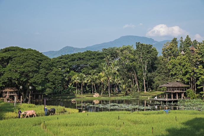 Four Seasons Resort Chiang Mai - Uitzicht