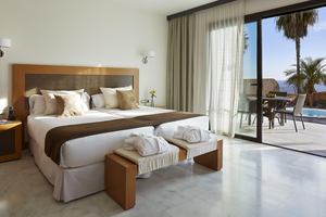 Hotel Suite Villa María - Villa - 1 Slaapkamer met jacuzzi