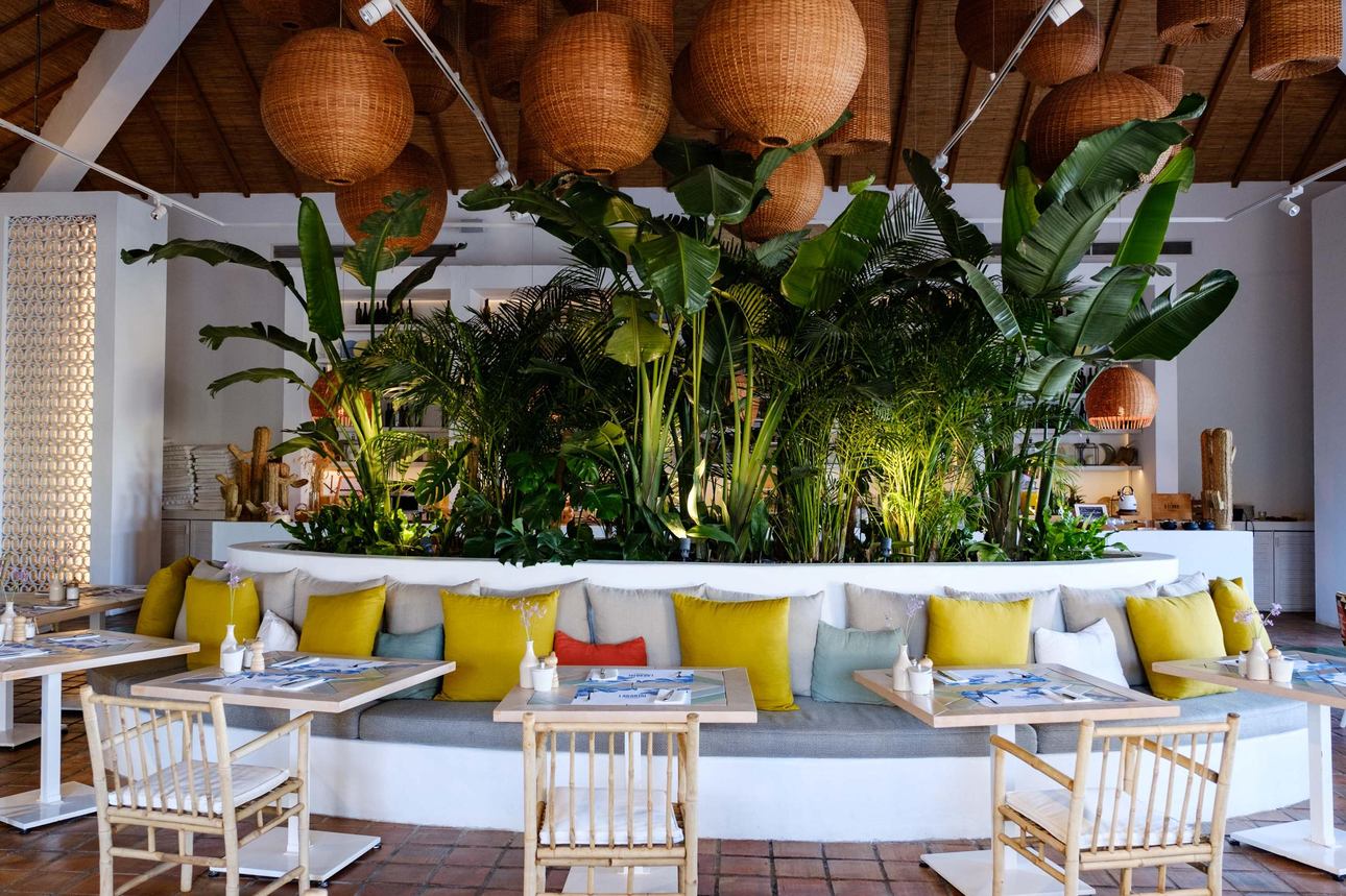 Restaurants/Cafes