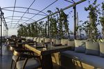 Restaurants/Cafes