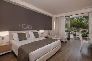 Avra Imperial - Deluxe Kamer Single Use