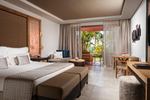 Villa Suite 1-Slaapkamers Tuinzicht met plunge pool