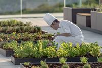 Royal Champagne Hotel & Spa - Exterieur