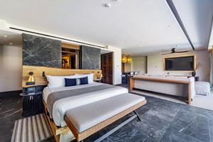 Impression Moxché by Secrets -  Tropical View Master Suite Swim Out
