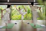 Wellness