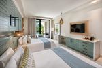 Unique Junior Suite Swim Up