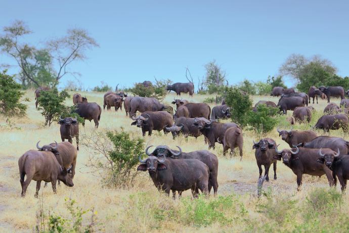 Tanzania & Zanzibar 