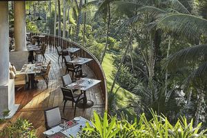 Four Seasons at Sayan - Restaurants/Cafes