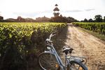 Excursies