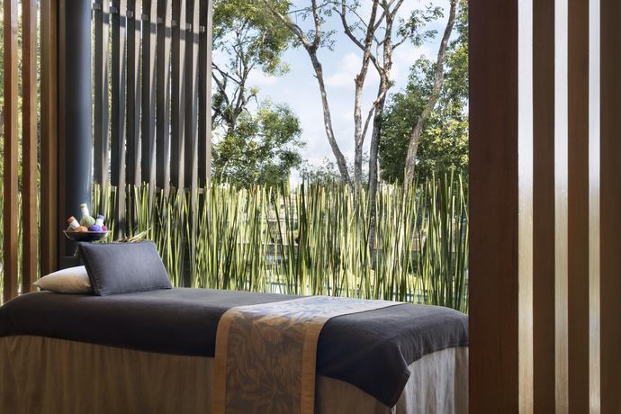Anantara Chiang Mai Resort - Wellness
