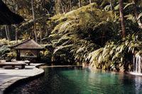 COMO Shambhala Estate - Zwembad
