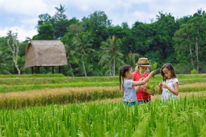 Mandapa, a Ritz-Carlton Reserve - 