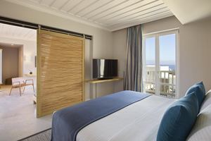 Premium Suite