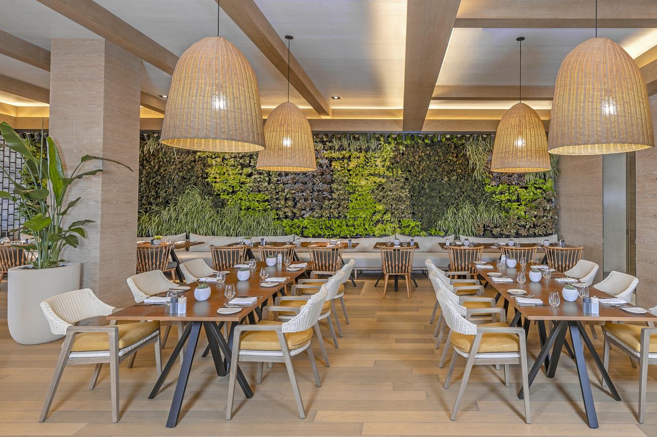 Restaurants/Cafés