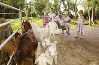Denis Private Island - Kinderen