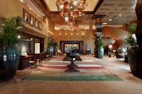 Anantara Desert Islands Resort & Spa - Lobby/openbare ruimte