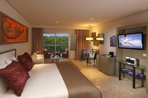 Paradisus Junior Suite