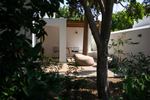 Minos Beach Art`Otel - Nature Superior Bungalow with Private Garden