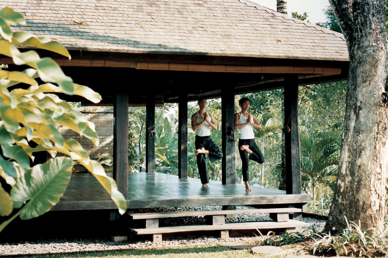 Wellness
