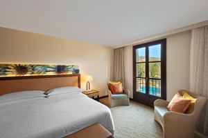 Junior Suite View
