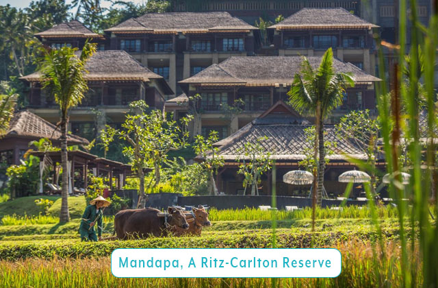 Mandapa - a Ritz-Carlton Reserve - Bali
