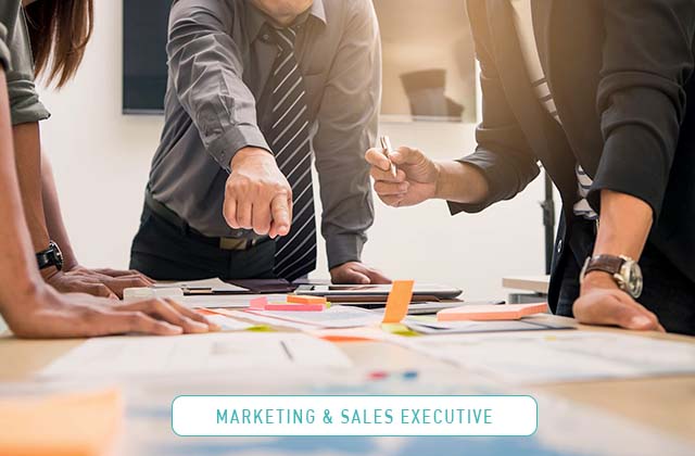 Marketing &amp; Sales Executive